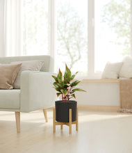 Load image into Gallery viewer, Black stand:bamboo