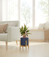 Load image into Gallery viewer, Deep Navy stand:bamboo