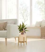 Load image into Gallery viewer, Cream stand:bamboo