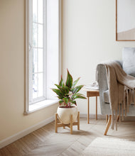 Load image into Gallery viewer, Shiny EggWhite stand:bamboo