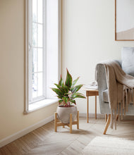 Load image into Gallery viewer, Desert Brown stand:bamboo