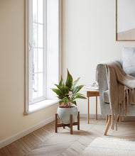 Load image into Gallery viewer, Deep Ocean stand:walnut