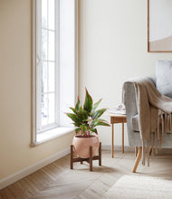 Load image into Gallery viewer, Calm Rose stand:walnut