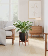 Load image into Gallery viewer, Stone Black stand:walnut