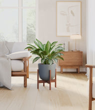 Load image into Gallery viewer, Iron Gray stand:walnut