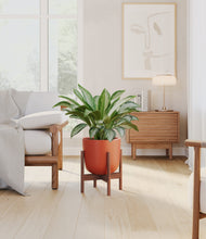 Load image into Gallery viewer, Earth Red stand:walnut