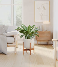 Load image into Gallery viewer, Natural Bamboo stand:bamboo