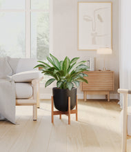 Load image into Gallery viewer, Stone Black stand:bamboo