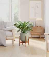 Load image into Gallery viewer, Sage Green stand:bamboo