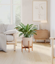 Load image into Gallery viewer, Sandy Pink stand:bamboo