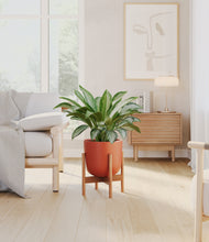 Load image into Gallery viewer, Earth Red stand:bamboo