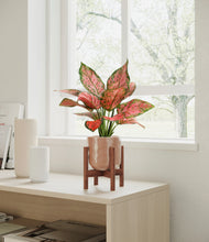 Load image into Gallery viewer, Hammered Peach Pink stand:walnut
