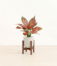 Load image into Gallery viewer, Natural Bamboo stand:walnut