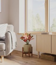 Load image into Gallery viewer, Olive stand:walnut