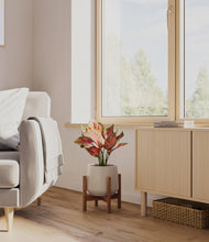 Load image into Gallery viewer, Eternal Gray stand:walnut