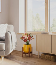 Load image into Gallery viewer, Mustard stand:walnut