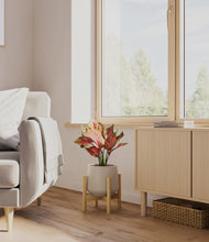 Load image into Gallery viewer, Eternal Gray stand:bamboo