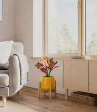 Load image into Gallery viewer, Mustard stand:bamboo