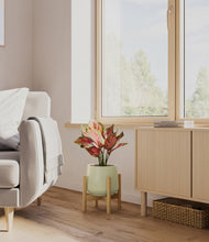 Load image into Gallery viewer, Turquoise stand:bamboo