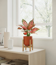 Load image into Gallery viewer, Earth Red stand:bamboo