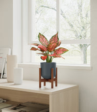 Load image into Gallery viewer, Iron Gray stand:walnut