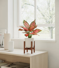 Load image into Gallery viewer, Natural Bamboo stand:walnut