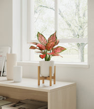 Load image into Gallery viewer, Natural Bamboo stand:bamboo