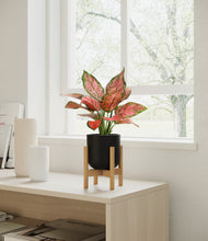 Load image into Gallery viewer, Stone Black stand:bamboo