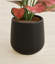 Load image into Gallery viewer, Black stand:all