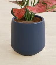 Load image into Gallery viewer, Deep Navy stand:all