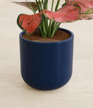 Load image into Gallery viewer, Twilight Blue stand:all