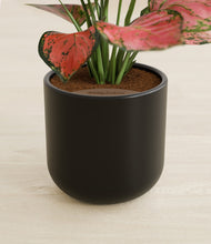 Load image into Gallery viewer, Stone Black stand:all