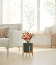 Load image into Gallery viewer, Dark Olive stand:bamboo