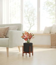 Load image into Gallery viewer, Black stand:walnut