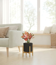 Load image into Gallery viewer, Black stand:bamboo