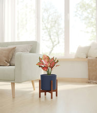 Load image into Gallery viewer, Deep Navy stand:walnut