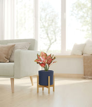 Load image into Gallery viewer, Deep Navy stand:bamboo