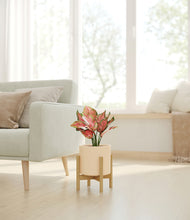 Load image into Gallery viewer, Cream stand:bamboo