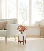 Load image into Gallery viewer, White stand:walnut