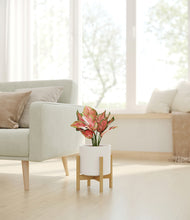 Load image into Gallery viewer, White stand:bamboo