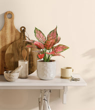 Load image into Gallery viewer, Hammered Ivory