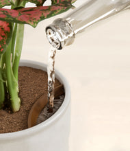 Load image into Gallery viewer, Hammered Ivory stand:all