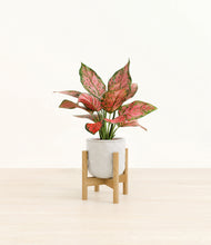 Load image into Gallery viewer, Hammered Ivory stand:bamboo