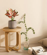 Load image into Gallery viewer, Eternal Gray