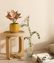 Load image into Gallery viewer, Mustard