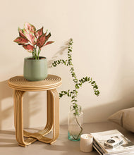 Load image into Gallery viewer, Turquoise