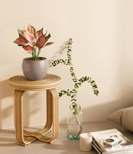 Load image into Gallery viewer, Winter Clouds