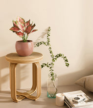 Load image into Gallery viewer, Calm Rose