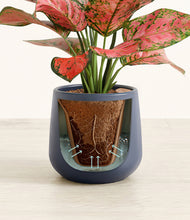 Load image into Gallery viewer, Deep Navy stand:all