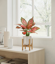 Load image into Gallery viewer, Snowdrift White stand:bamboo